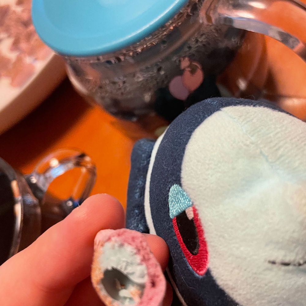 お茶の時間がやって来るでしょう🫖🫲👼🫱

きょうの おちやは、 がーでんてぃーさんの れもんぐらすばたふらいぴー🦋
この こうちゃの てぃーばっぐには たぐが ついてないんだ
だから、 ずっと いれておいて いいのかな？ しぶみも でないから、 あんしんして のめるていどに さましてから のむことが できるんだ…😌

きょうの おかしは… ろってさんの こあらのまーち ふぁんたじーそーだ🦄
きのう はつばいの あたらしい こあらのまーちなんだ！
そーだふうみで みずいろの ちょこれーとが なかに はいっていて、 かわいい〜！🥰
そーだの ちょこれーとって ふしぎだよね でも、 あとひく あじ…！
おいしかったよ！ つぎは ゆにこーんこあらさんの えがらが ひけると いいな〜！🐨