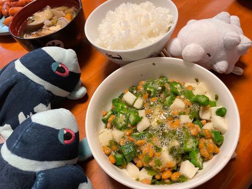 3にちめ RESULT

95てん！ Excellent！
きのうより がんばれたね！💪✨️

ねばねばごはんで ねばーぎぶあっぷだね！