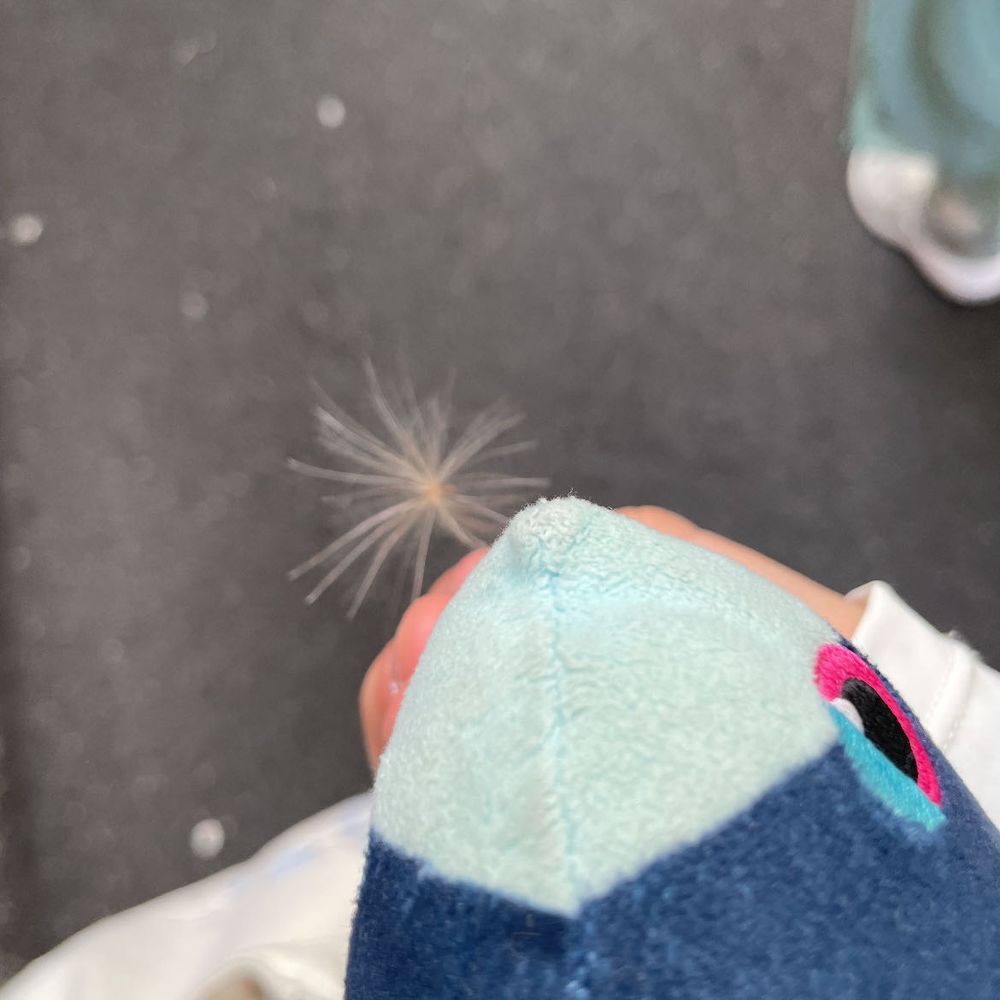 たいりょくづくり

とれっどみるで てくてく あるく トレーナーさんを おうえんだ〜！📣
はんばーがーで えねるぎーちゃーじを したり、 けせらんぱさらんを みつけたり したよ