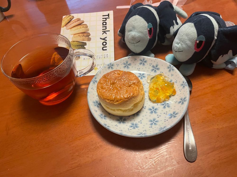 おひさまのスコーンを夜に食べたらそれは実質白夜だねって
ぼくたちは すごい おちゃせっとを しいれた……!
おひさまとすこーんさんの おりじなるてぃーと とくせい すこーん…!✨️
おりじなるてぃーは、 てぃーかっぷに おゆで 4ふん むらす いつものより ちょっと ながめの むらしじかん
しぶく ならないかな… って おもってたけど すごい… かんぺきな たいみんぐって かんじ!
たしかに ちょっと びたーでは ある でも…
この おひさまぷれーんあじの すこーんに ぴったりの しぶさ だったの…
おひさまぷれーんの すこーんは、 ふわっと かるくて あまさ ひかえめの すこーん!
じゃむも ついてくる!
こんかいは、 おうちに あった あんずじゃむで いただいたよ!
じゃむの あまさと すこーんの あまさ、 それに こうちゃの しぶみが ぱずるの ぴーすが あうように ふぃっとして…
ポケモンの fitは ぼくたちの おなまえだけど、
おちゃかい かいわいの fitは…
おひさまとすこーんさん あなたがたの ものだ まちがい ありません…
じつは まだ ひとつだけ ここの すこーんが あるんだ!
だいじに いただきます…😌