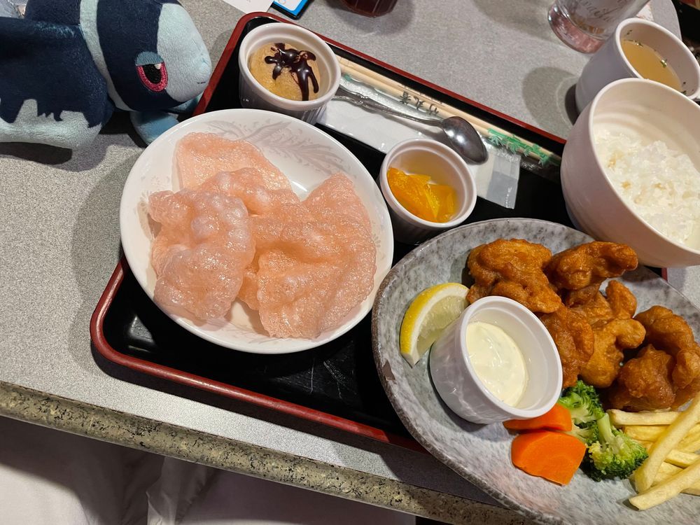 カラオケといったら
もっちもちの ごはん!!(o'ч'o)
なんで からおけの ごはんって こんなに もっちもちなんだろう…
トレーナーさんたちと からおけに あそびに いったよ!
みんなと いっしょに おうたを うたったり、 あと なんか いわしたのしんしょうがさんの しょうがいり めんちかつが あったから たべたよ
さっくさく だったよ!