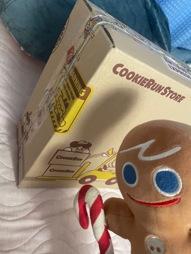 やあ！🍪

ボクは勇敢なクッキー！
魚群味クッキーとは彼が大学生の頃からの付き合いで、よく一緒にシンジュク王国を冒険していたんだよ！🏃‍♂️
クッキーランストアからやってきたクッキーは、いままでこのお家にボクだけだったんだけど…
今日は新しいクッキーがやってきたみたいだね どんな子なのかな？

わあ！この箱、ボクが乗ってきたやつとはまた違うデザインだ！
って…
タイムキーパークッキー…？！
久しぶり！
えっ… クロワッサン味クッキーいないのか って…？
それが…まだここにはボクと魚群味クッキーしか居なくて…
でも大丈夫！ 魚群味クッキーなら、きっとすぐにクロワッサン味クッキーも呼んでくれるよ！
これからよろしくね、タイムキーパークッキー！