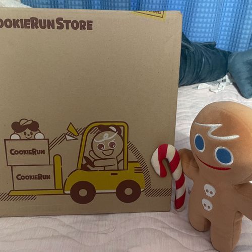 やあ！🍪

ボクは勇敢なクッキー！
魚群味クッキーとは彼が大学生の頃からの付き合いで、よく一緒にシンジュク王国を冒険していたんだよ！🏃‍♂️
クッキーランストアからやってきたクッキーは、いままでこのお家にボクだけだったんだけど…
今日は新しいクッキーがやってきたみたいだね どんな子なのかな？

わあ！この箱、ボクが乗ってきたやつとはまた違うデザインだ！
って…
タイムキーパークッキー…？！
久しぶり！
えっ… クロワッサン味クッキーいないのか って…？
それが…まだここにはボクと魚群味クッキーしか居なくて…
でも大丈夫！ 魚群味クッキーなら、きっとすぐにクロワッサン味クッキーも呼んでくれるよ！
これからよろしくね、タイムキーパークッキー！