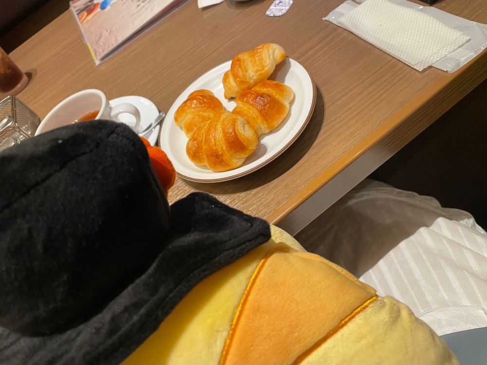 あら~？

こんなものにあたしを入れて…
どこへ連れていくおつもりですか~？

レストランでしょうか~…
これは、クロワッサンじゃないですか~？
昨日ぶりですね~

ふわふわさくさくで、美味しいです~
あなたも、相当クロワッサンがお好きなようにみえます~