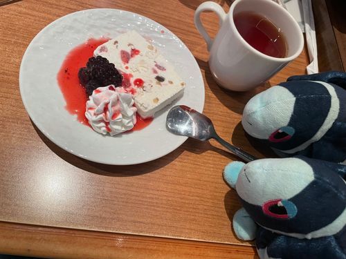 活動限界がある環境でティータイムするレア回

きょうの おちゃの じかんは、 あんらくていさんから おとどけします！
あのね けむりがね そう あるから…
こほこほ ぼくたち ながく かばんの おそとに いられないから ささっとね

きょうの おちゃは、 てぃーあーすさんの ぱっしょんらいち🔴
てぃーあーすさんの こうちゃって いろんな おみせで のめるんだけど… ぱっしょんらいちって、 はじめて！
すっぱいのかな？ って おもったら、 あまい くだものの いいかおりの やさしい あじの おちゃ…☺️
ぱっしょんふるーつと らいちが いっしょに なったら、 もっともっと いいにおいに なるんだね！

きょうの おかしは… あんらくていさんの かっさーた🫐
あんらくていさんって すごく おてごろに ぷちすいーつが たべられて いいね…😌
…でも かっさーた って…？
いたりあの あいすけーき なんだって！
ふるーつとか なっつが はいった、 なめらかな あいすけーき！
これは ほかにも べりーとか いちごそーすとかが そえられてる たいぷなんだね
あいすが… もっ……たりしてて、 おいしい〜！✨️
なまくりーむとか、 ちーずとかで つくられてるんだって！
なっつの はごたえとか、 ふるーつの さっぱりした あまみとかが… もったりあいすを ひきたてていて…
すごい おかしだ…🤔