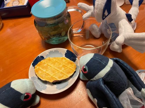 逆行 きのうのティータイム

きのうの おちゃは… てぃーぶてぃっくさんの ぶるーふらわーはーぶてぃー💠
きのうは あめが ふって やや ひえこんで いたから、 ほっとで いただいたよ！
あついのを さましながら ちびちび のむ こうちゃも また はお だね…
こおりを いれて のむと やっぱり うすまるのかな？ 
ほっとで のんだら、 あいすの ときよりも かおりを つよく かんじたよ

きのうの おかしは… もん・くれーぶさんの とうきょうちょこれーとわっふるさんど🧇
さくさくした すこし あつみのある わっふるが 2まい ちょこれーとを はさんで くっついてるよ！
けっこう うすそうに みえるよね でも……
もってみると ちょっと ずっしり かんじる ぶつりょう……
りっちな おかしだ……！
すごく おいしかったよ！
