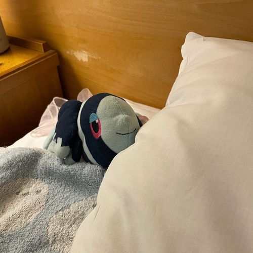 おはよう！

おはようの もーにんぐこーひーで かんぱいだ〜☕️
め さめろ さめろ〜！！