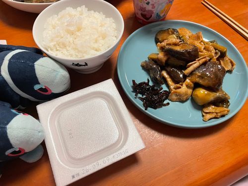 なすの肉味噌いため

ごーやも いるよ！
ごーやって あつぎりに すると にがく なるんだって🤔
でも ぼく ごーやの にがいのも すきだから もっと あつぎりに しても うれしいかも…🥺
