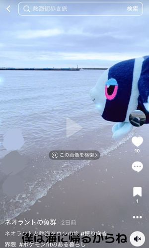 TikTokはじめました

TikTokで ネオラントの魚群 って けんさくを すると…
ぼくたちの あたみタウンの たびの ようすを まとめた みじかい どうがが みられるんだ！
みんな あそびにきてね°･🐠