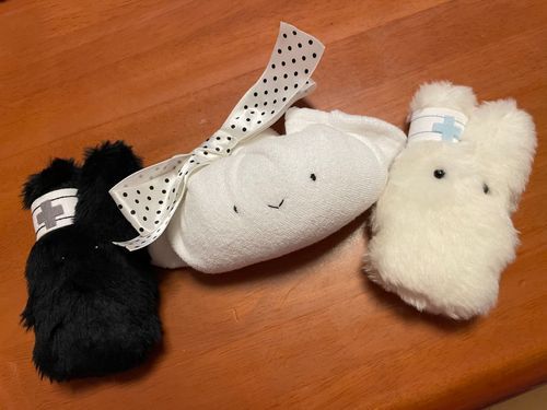 ぎょうざのおんなのこが やってきた！

ぼく うさナースクローン！ 
こっちは あいぼうのかげちゃん
ふたりで うつぼの注射をてに にしへ ひがしへ… このおうちの みんなの けんこうを まもっているんだ💉

きょうは おにんぎょう村の てんてこマート天国店から… ぎょうざのおんなのこ が やってきた！
きみも けんしゅうを うけてきたのかい
ちがうのか… ああ、 成金しゅうまいの ビジネスのていあんを うけて ここにきたんだね 
ところで きみは おんなのこ？ 
いや どっちでもいいか
これから よろしくね！