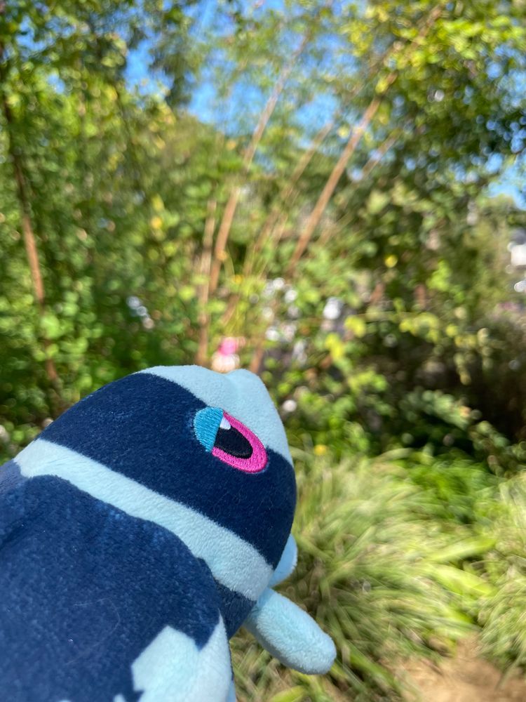 しぜんたんけん しよう!
こんにちは! はんもっくから しつれいします ネオラントだよ
きょうは しぜんが いっぱいの こうえんで… のんびり おさんぽだ!°・🐠🚶🏻♂️⸒⸒⸒
ちょうちょさんと ふわふわの はちさんが いっぱい とんでる!
おさかなさんと みずどりさんの おいけも
あって…
そして なにより ふっかふかの しばふ〜!
ポケモンの おともだちに であえたり して…! (このあと ぼくは きれいに されます)
そして さいごに… ぼく じしんが ちょうちょさんに なっちゃうって いうね…🦋
あきめいて ちょっと すずしくて くうきも おいしい… この こうえんに いると、どうやっても げんきに なっちゃうよ〜!