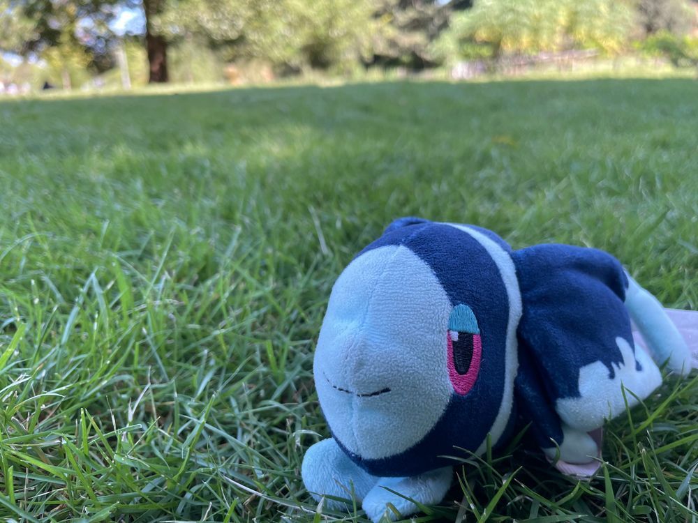 しぜんたんけん しよう!
こんにちは! はんもっくから しつれいします ネオラントだよ
きょうは しぜんが いっぱいの こうえんで… のんびり おさんぽだ!°・🐠🚶🏻♂️⸒⸒⸒
ちょうちょさんと ふわふわの はちさんが いっぱい とんでる!
おさかなさんと みずどりさんの おいけも
あって…
そして なにより ふっかふかの しばふ〜!
ポケモンの おともだちに であえたり して…! (このあと ぼくは きれいに されます)
そして さいごに… ぼく じしんが ちょうちょさんに なっちゃうって いうね…🦋
あきめいて ちょっと すずしくて くうきも おいしい… この こうえんに いると、どうやっても げんきに なっちゃうよ〜!