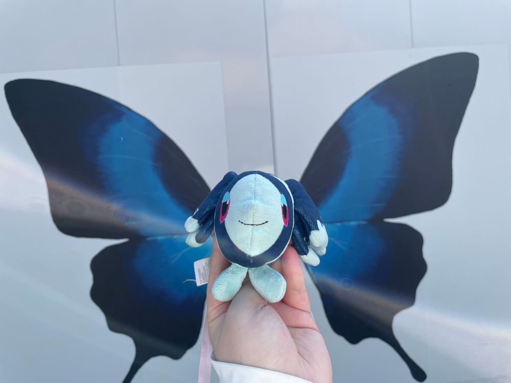 しぜんたんけん しよう!
こんにちは! はんもっくから しつれいします ネオラントだよ
きょうは しぜんが いっぱいの こうえんで… のんびり おさんぽだ!°・🐠🚶🏻♂️⸒⸒⸒
ちょうちょさんと ふわふわの はちさんが いっぱい とんでる!
おさかなさんと みずどりさんの おいけも
あって…
そして なにより ふっかふかの しばふ〜!
ポケモンの おともだちに であえたり して…! (このあと ぼくは きれいに されます)
そして さいごに… ぼく じしんが ちょうちょさんに なっちゃうって いうね…🦋
あきめいて ちょっと すずしくて くうきも おいしい… この こうえんに いると、どうやっても げんきに なっちゃうよ〜!