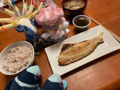 また 美しい食卓

おさかな もずく おみそしる……
うん うつくしいよ…
しかも ごはんが じゅうろっこくまい なんだ…
ごはんやさん みたいで すてきだよ…🥹