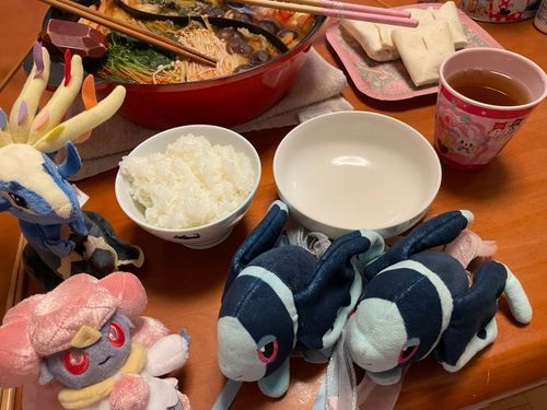 危機感を感じる鍋

すっごく おいしい よるごはんの きむちなべ！
きむちの ふうみは するけど からくなくて たべやすい…☺️
でも なんだか さいきん よく おなべを たべて いるような…
おなべって すごく おいしくて つい たべすぎちゃうから あぶないんだよ…😭