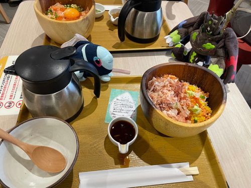 たびはみちづれの日②

こめらくさんの さけのあぼかどまよごはん で おひるごはんだ〜！
まえも ジガルデさんたちと この ごはんを ここで たべたよね！
そして また トレーナーさん おしょうゆ こぼしちゃったね🥲
それでも おいしく たべられたら いいよね！