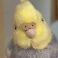 ほぺちゃん