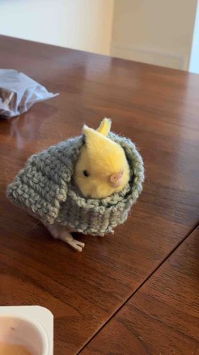 あったかいね
