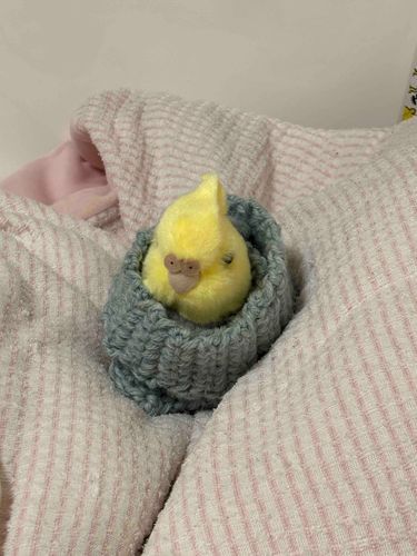 ポスト