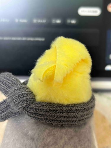 一緒にYouTubeみようね