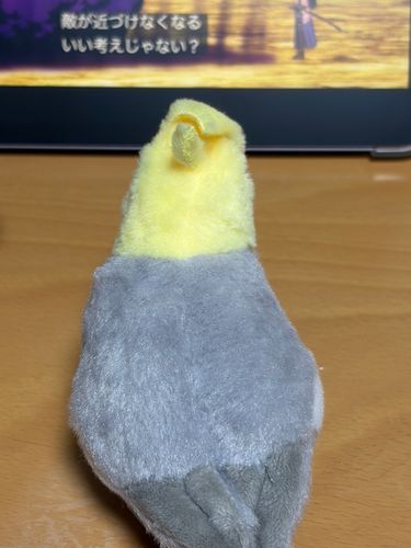 アニメ面白いね〜最近湿気がすごいよ😭
