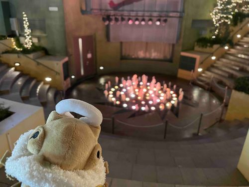 お水が噴き出ています！噴水というのですね。綺麗ですね〜