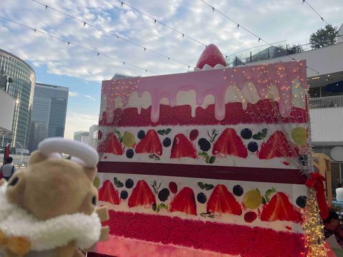 お、大きなケーキですよ！！これ、全部食べても良いんですか〜！？