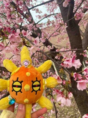 お散歩に行きました。もう桜の咲く季節なのですね…🌸