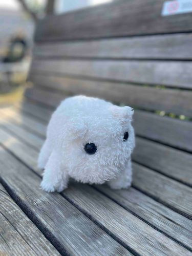 BABA 初めてのお外！緊張したよ。