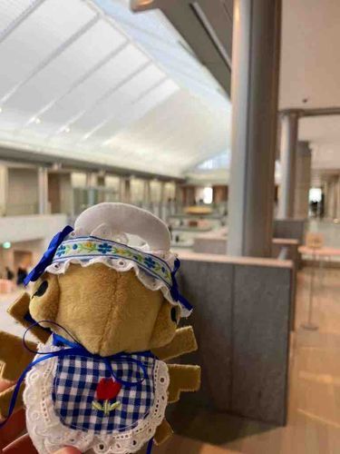 綺麗でオシャレな建物！