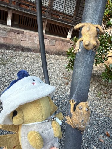 金色のかえるさんです！
色違いのニョロトノ…？
