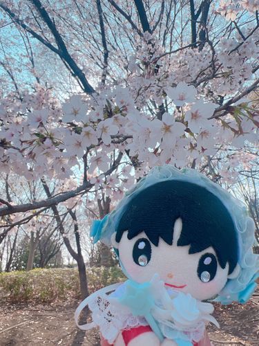 この前みた桜とってもきれいだった✨
来年もみれたらいいね🌸