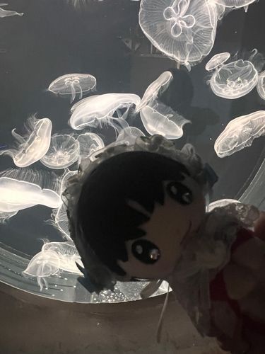 ふわふわ〜〜🪼🫧