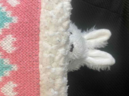 きょうもいちにちがんばるの。
しろはここでまってるの。
むにゃむにゃ……
