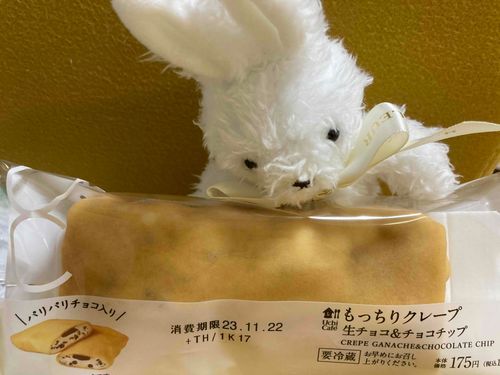 きょうのおやつ。
ふくろのそとからでもモチモチがわかるの。
はやくたべたいの！