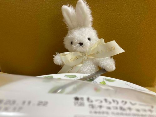 しろにかかればペロリなの。
モッチモチのゴリッゴリでとってもおいしかったー！
ごちそうさまでした！