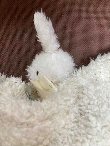 「においがついちゃうから、きょうはおうちでおるすばん」なの。
……しらないの。ねてるの。