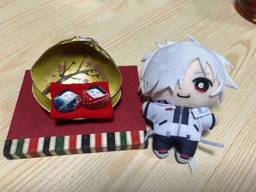 ひなまつりなのでぬい主のこどものころからのおきにいりおひなさまといっしょにとってもらったよ
ぬい主はいまこのしゅんかんまできょうがひなまつりだということをわすれていたみたい
