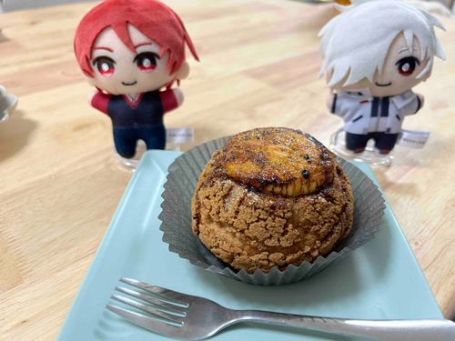 ぬい主のあねのいえでたべたシュークリームとおれとにだぬいだよ
