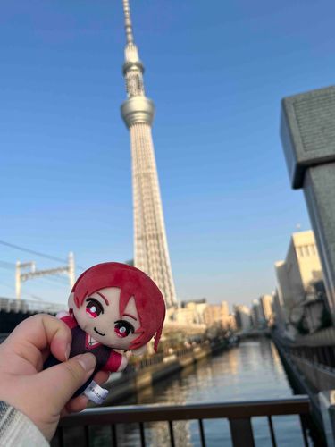 スカイツリーとにだぬいだよ