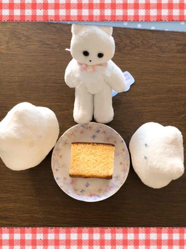 さーちゃん&はーちゃんと「かすてらをかこむかい」
をしたよ
かすてらはおいしいね
やぬしまたかってきてほしいな