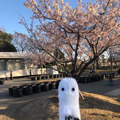 おはようございます。ふーです。今朝は寒いので長い毛でよかったです。でも目はかくれてしまうので風防メガネがほしいところ。👓似合うものが見つかるといいのですが。ぼくはこうみえてけっこうこだわりがつよいのです。
皆様もおしゃれを楽しんで下さいね！