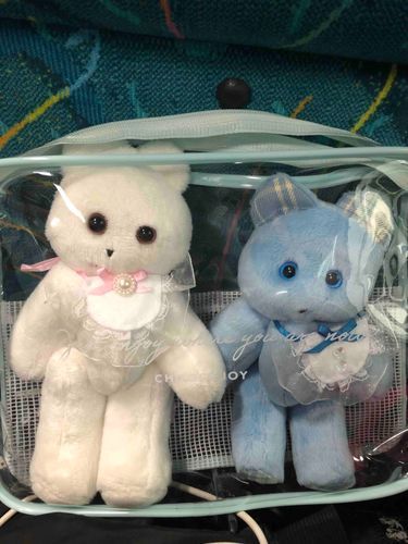 おひさしぶり！あすとらだよ。
さっぴーといっしょに
おでかけしていたの。
よごれないように
せんようけーすにはいってたよ。
