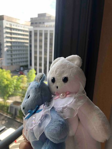 これ、ほてるとさよならするあさ。
またいつかこれたらいいな。こんどはいろいろみてまわりたいな。
じつは、まえのひにおおあめでしんかんせんがいちじとまってやぬしがぱにっくになり💦かぞくにたのんでとってもらったほてる。
とめてくれてありがとなの。