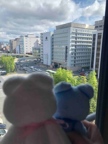 これでりょこうはおしまい。
うしろあたまーず。🧸
あめをしんぱいしてるところ。
したがくろいくもはあめふることおおいかも。
みんなきをつけてね。