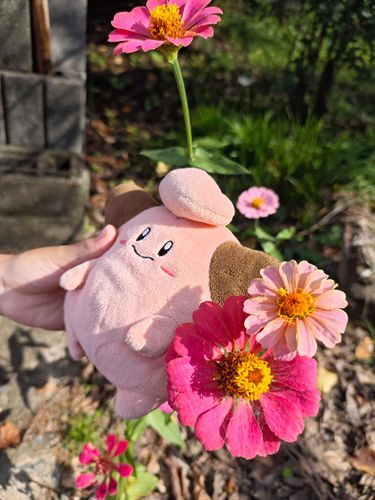 おさんぽ🌸ピィと！