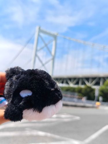 関門海峡とランちゃん
