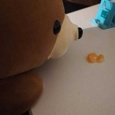 くまのぬいぐるみのくまたんです！
