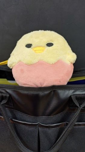 パパさん打ち合わせのためお出かけ中
おともはしゃきぴよがつとめてるぴよ
