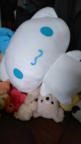 パパさんが里親になり、息子と呼んでるシナモン！
ぴよたちのうえでねないでよー